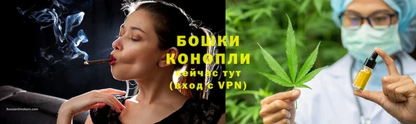 молекула духа Белоозёрский